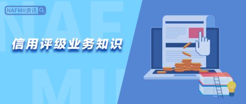 厚植专业根基，赋能信用未来——NAFMII教育信用评级业务知识培训班第8期培训纪实